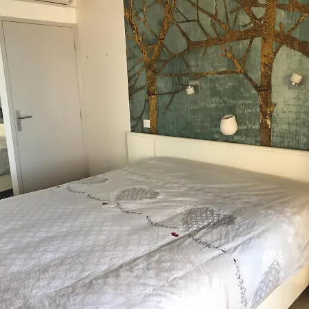 Le Rocher Des Sanguinaires Ajaccio (Corsica)